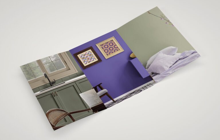 green and purple tri-fold brochure