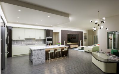 Everyday Lakewood Ranch Home Becomes Contemporary Jewel