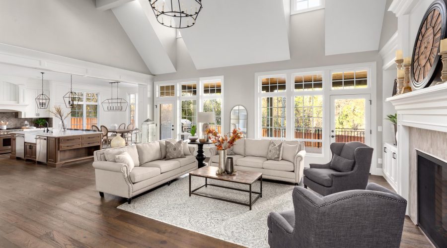 kitchen and living room